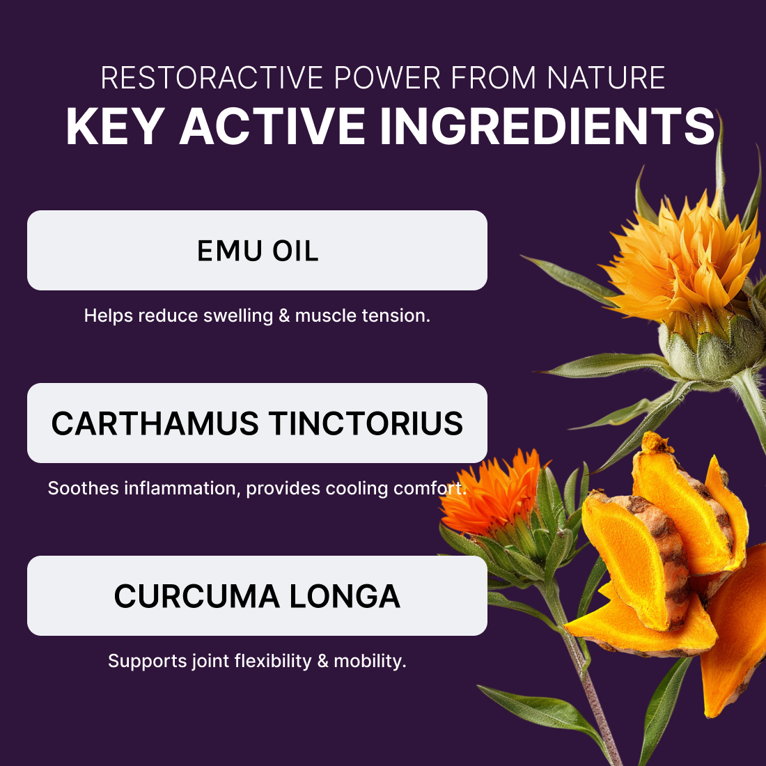 Serelle Herbal Bone & Joint Relief Gel